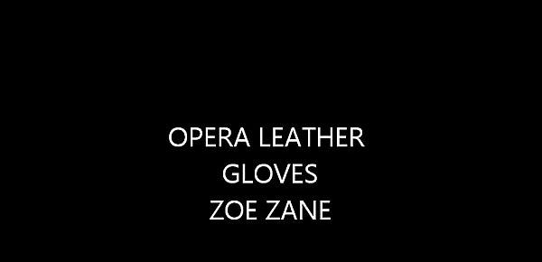  Black Leather Opera Gloves Sexy Dancer Zoe Zane